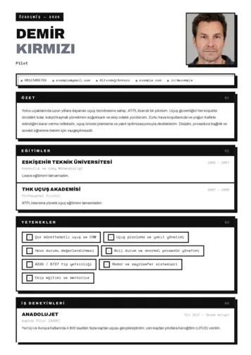  cv indir